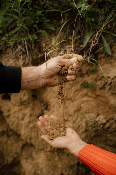 Hands inspecting sandy and loess soil in the Kobylí vineyard, showing the terroir behind The Lacery’s wines.